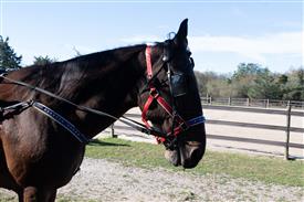 LR-WRF 10182025 Retreat-6348